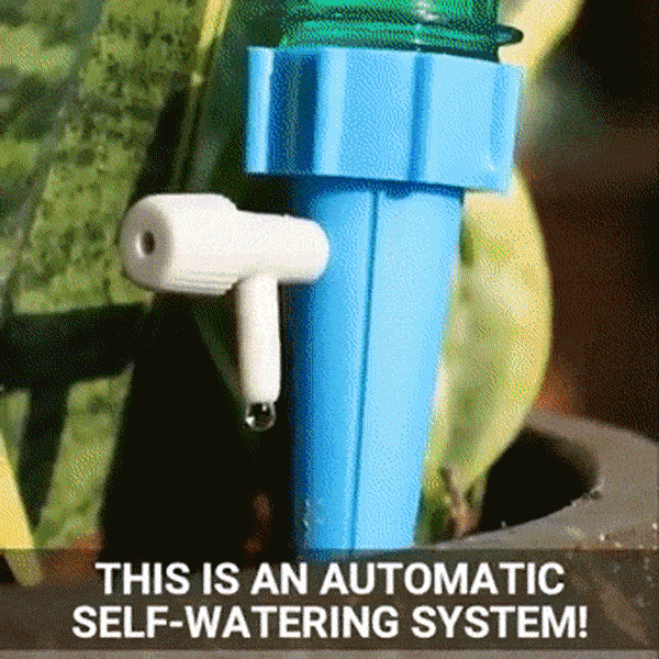 Strumento automatico per l'irrigazione delle piante (10+10 GRATIS) - Image 3