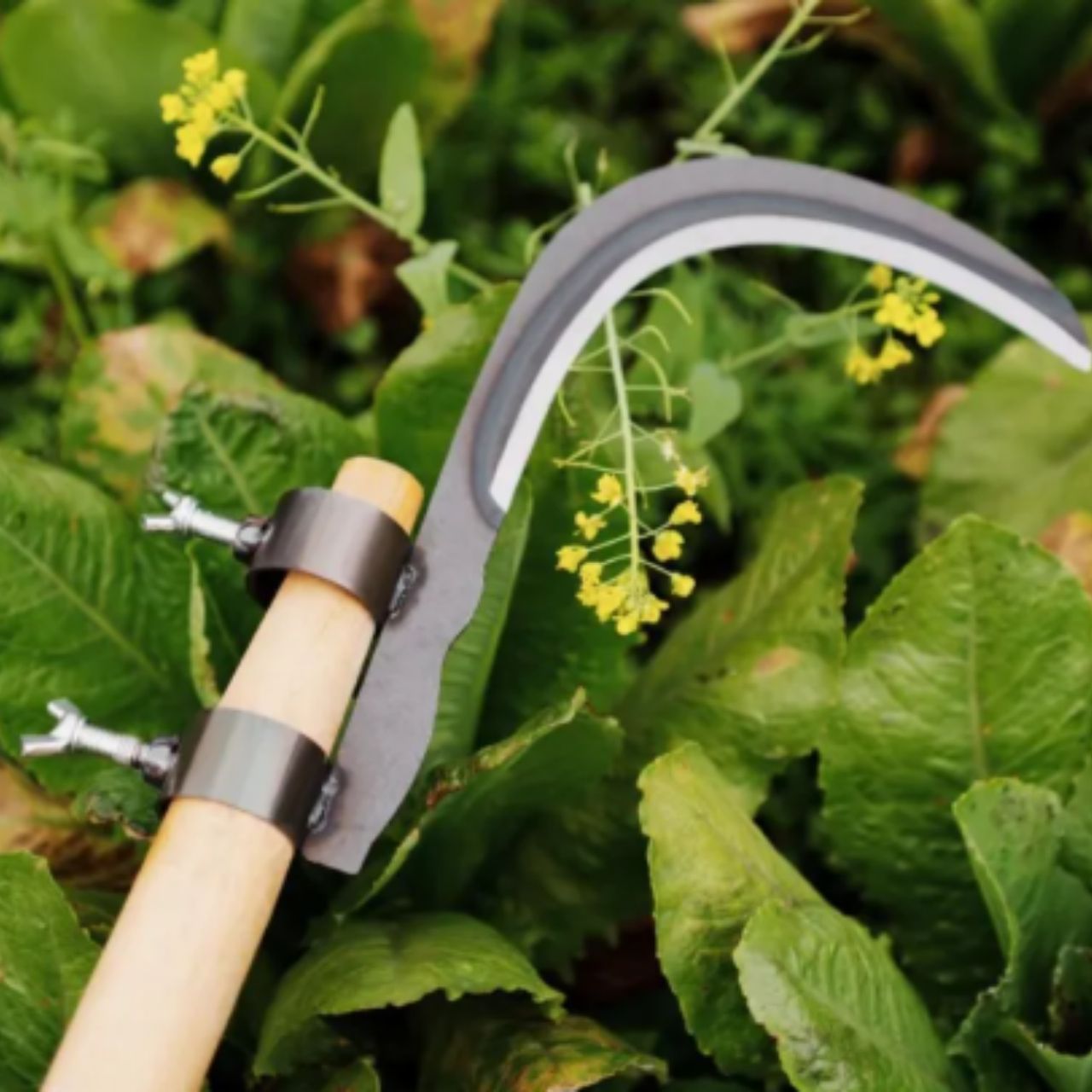 AgroTool, Taglia Rami, Erbacce, Spine e Vegetazione - Image 4