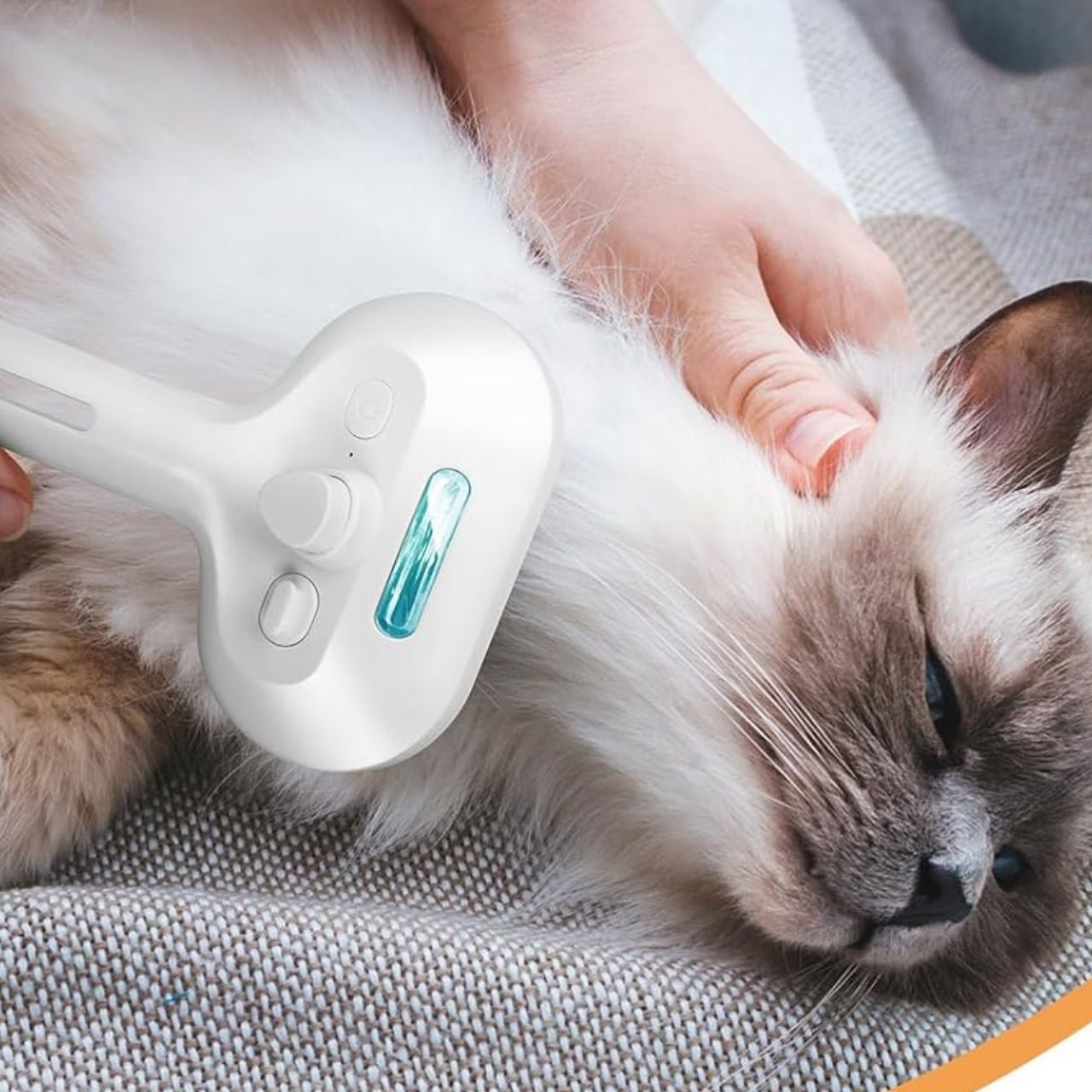 AllinOneBrush, spazzola a vapore per animali domestici - Image 8