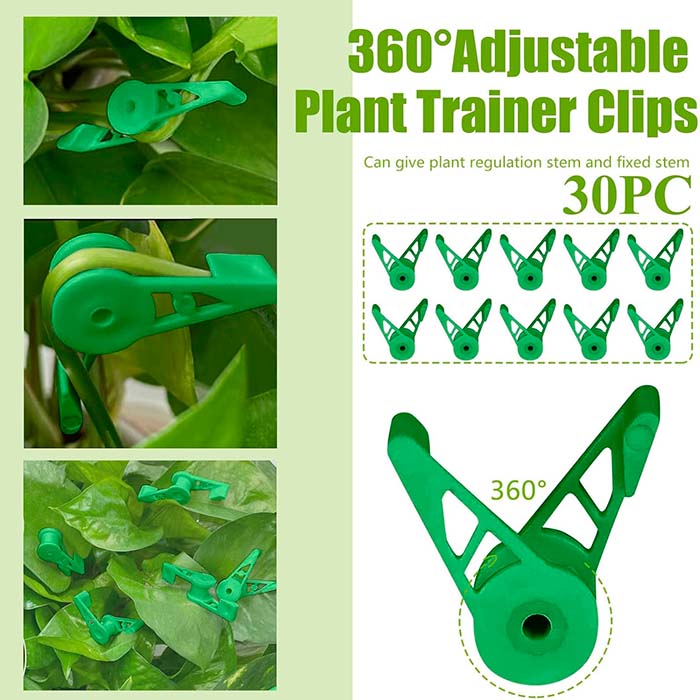 AnglePlant, guide per la crescita delle piante (30 pezzi) - Image 4