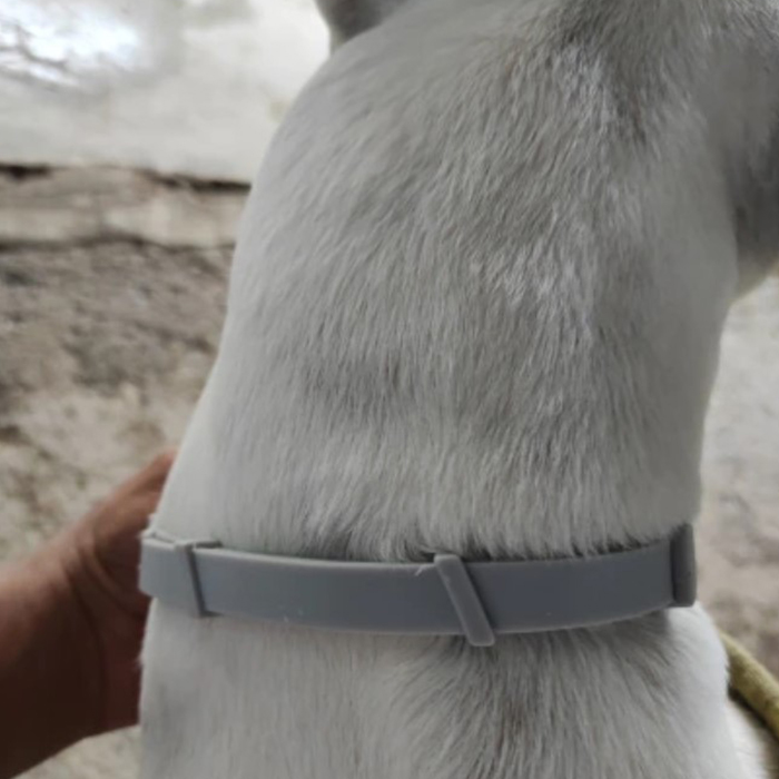 AnimalProtect, collare antipulci e antizecche per cani - Image 2