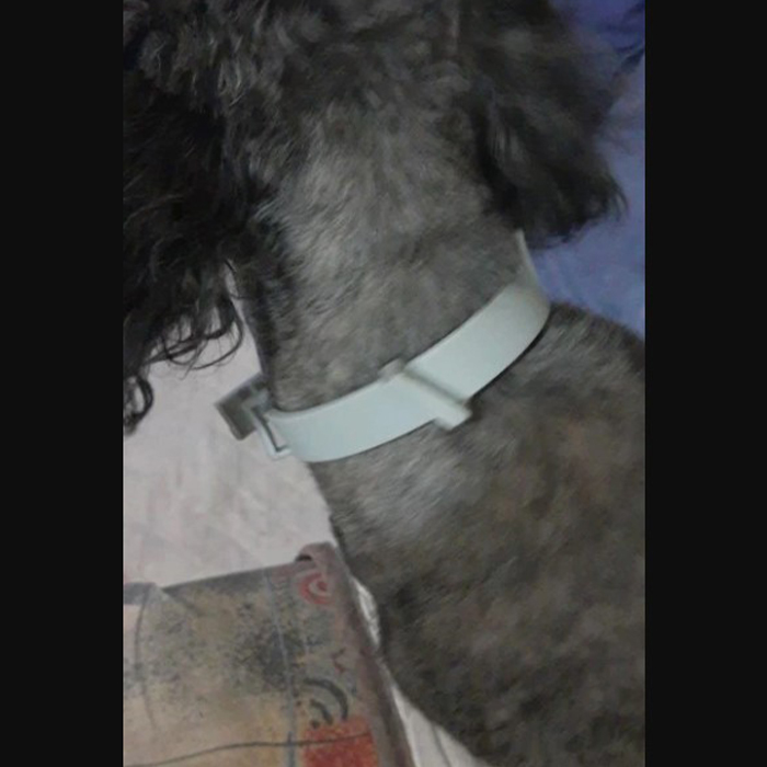 AnimalProtect, collare antipulci e antizecche per cani - Image 3