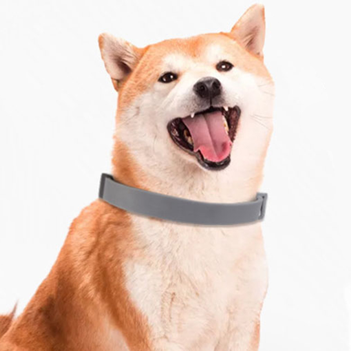 AnimalProtect, collare antipulci e antizecche per cani - Image 8