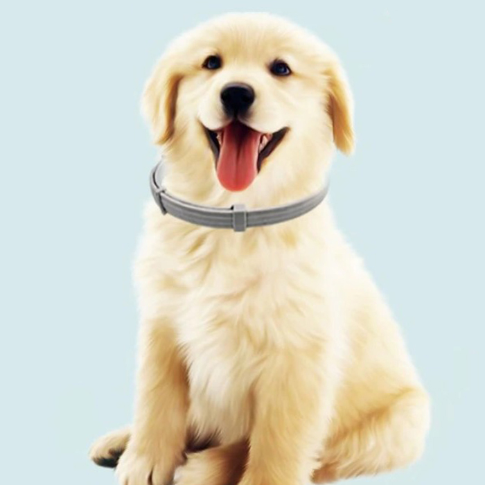 AnimalProtect, collare antipulci e antizecche per cani - Image 9