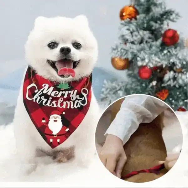 Bandana, il foulard di Natale per cani - Image 2