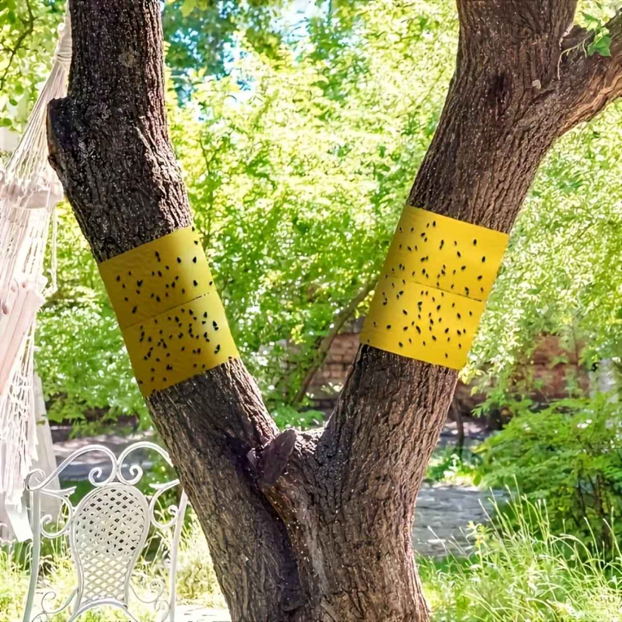 BarrierTape, nastro adesivo per catturare insetti - Image 3