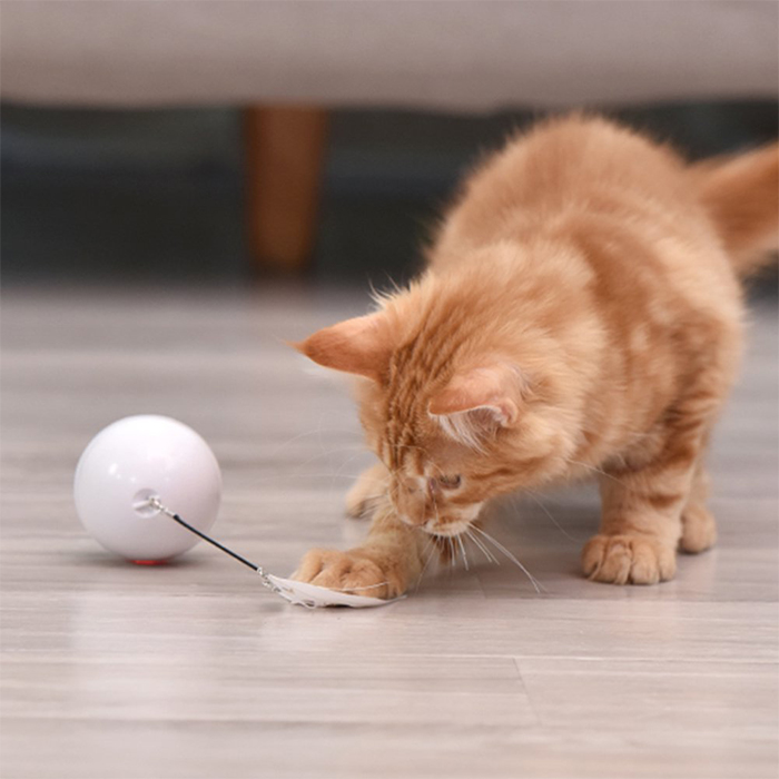 CatToy, un giocattolo per un gatto che fugge e agita la sua piuma - Image 2