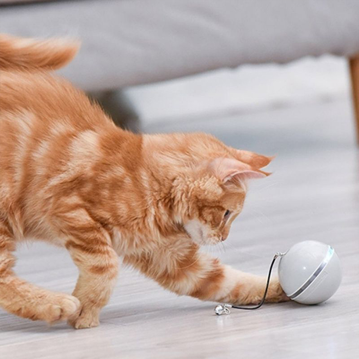 CatToy, un giocattolo per un gatto che fugge e agita la sua piuma - Image 3