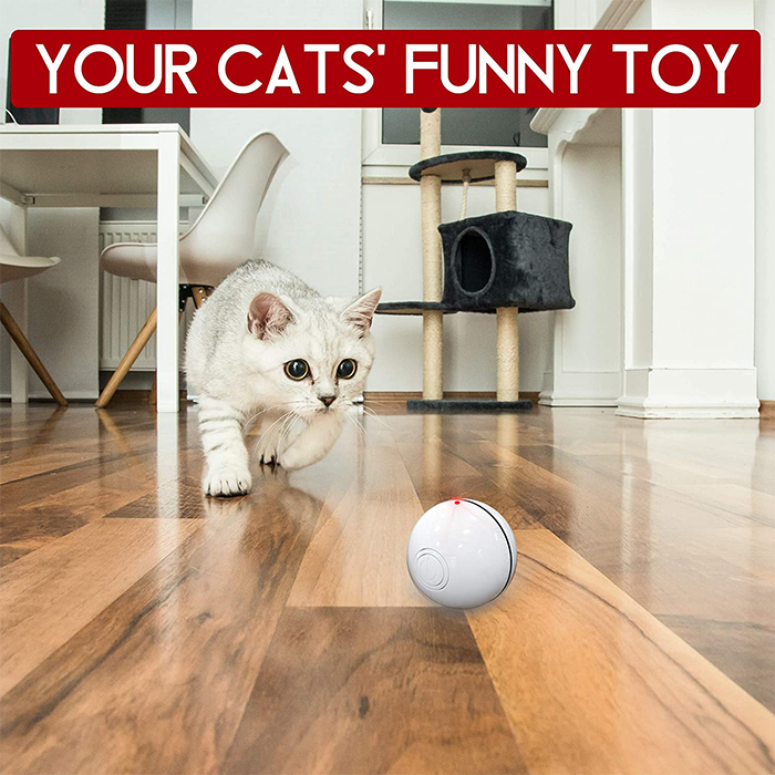 CatToy, un giocattolo per un gatto che fugge e agita la sua piuma - Image 7