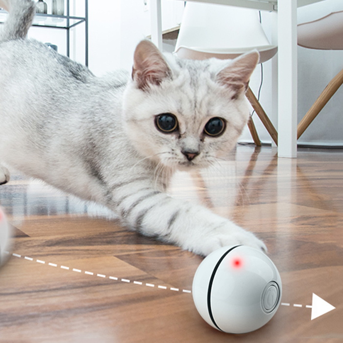 CatToy, un giocattolo per un gatto che fugge e agita la sua piuma - Image 10