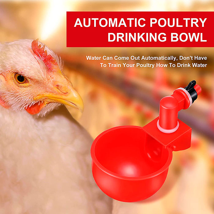 ChickenBowl, abbeveratoio per galline e altro pollame (6 pezzi) - Image 4