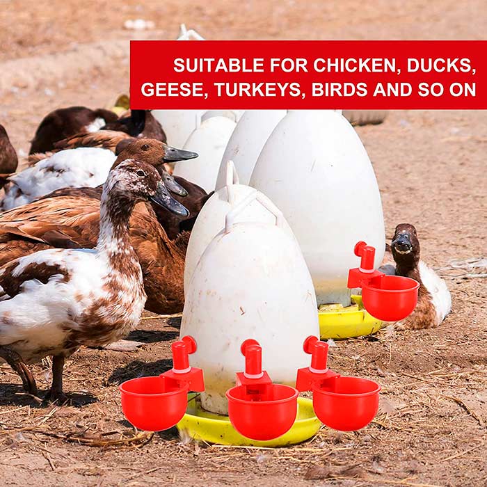 ChickenBowl, abbeveratoio per galline e altro pollame (6 pezzi) - Image 5