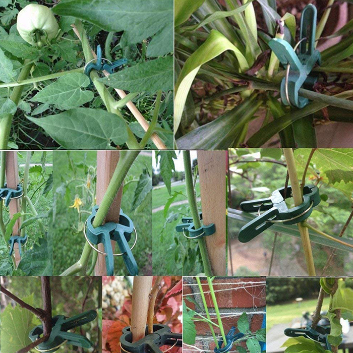 ClampsGarden, morsetti utili e durevoli per una varietà di piante da esterno e da interno (20 pz.) - Image 5