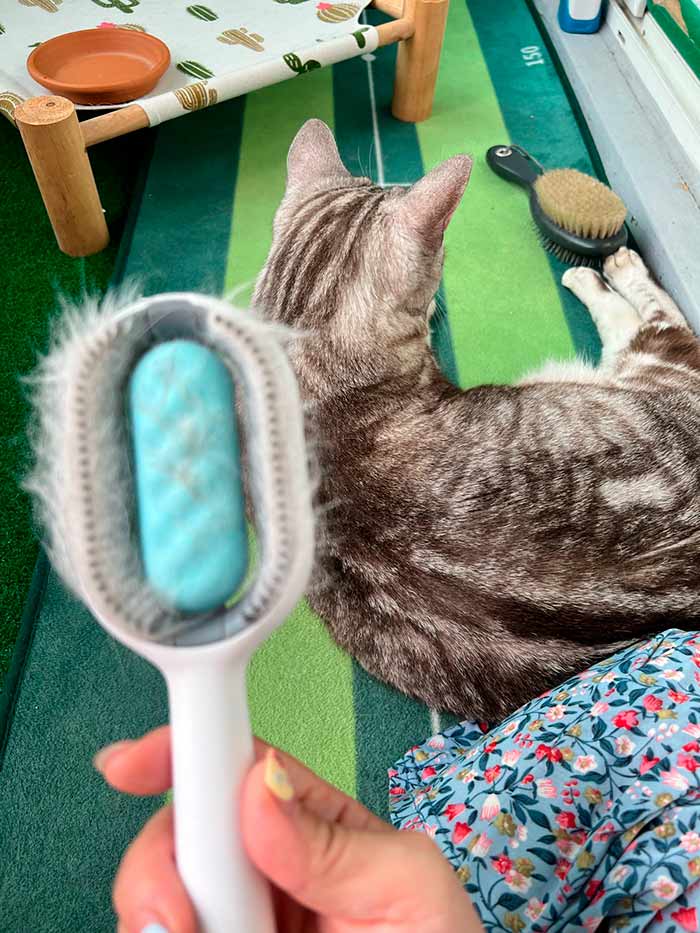Comby, spazzola per animali domestici - Image 9