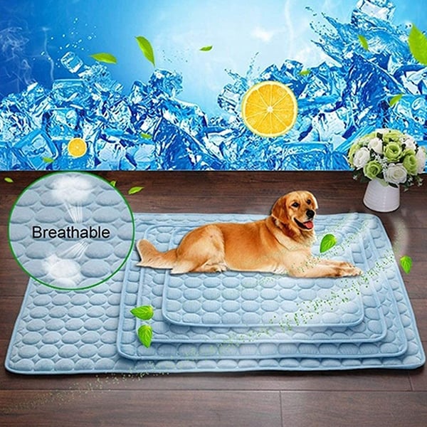 CoolingMat, tappetino rinfrescante per cani - Image 9