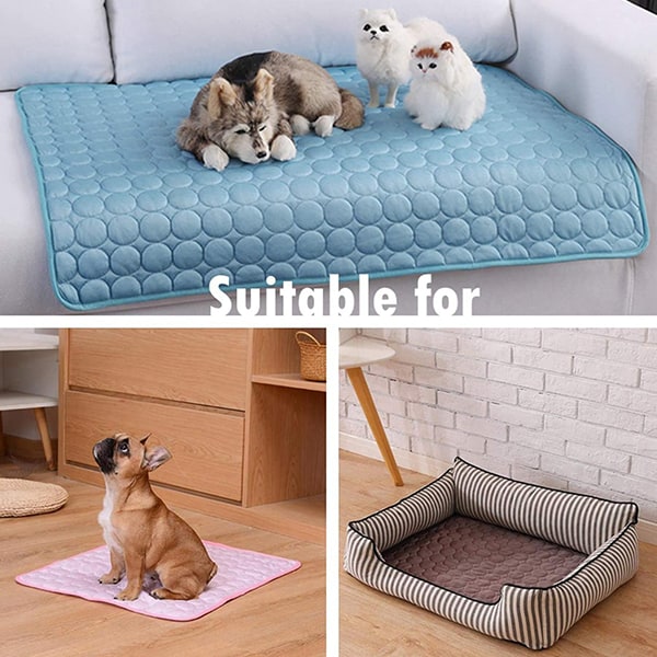 CoolingMat, tappetino rinfrescante per cani - Image 10