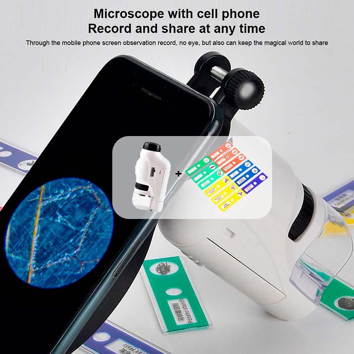 DiscoverBundle, microscopio portatile per bambini + set di 12 piastre di osservazione - Image 4