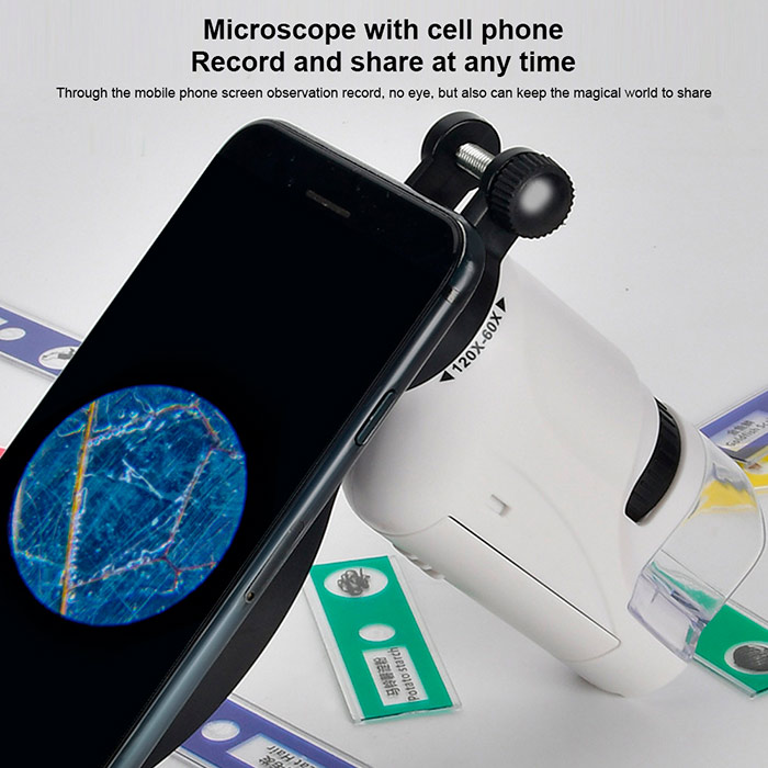 DiscoverBundle, microscopio portatile per bambini + set di 12 piastre di osservazione - Image 9