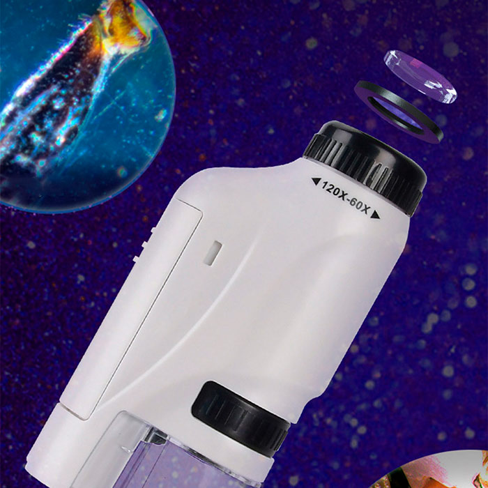 DiscoverBundle, microscopio portatile per bambini + set di 12 piastre di osservazione - Image 10
