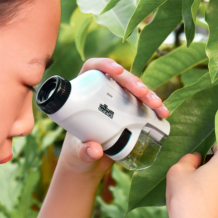 Incoraggia tuo figlio a trascorrere del tempo di qualità nella natura - con un microscopio per bambini, tuo figlio può esplorare la composizione di foglie, alberi, fiori e altri oggetti fatti di materiali diversi!