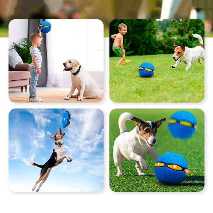 DiskBall, un giocattolo per cani che è sia un frisbee che una palla - Image 7