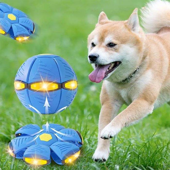 DiskBall, un giocattolo per cani che è sia un frisbee che una palla - Image 8