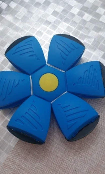 DiskBall, un giocattolo per cani che è sia un frisbee che una palla - Image 10