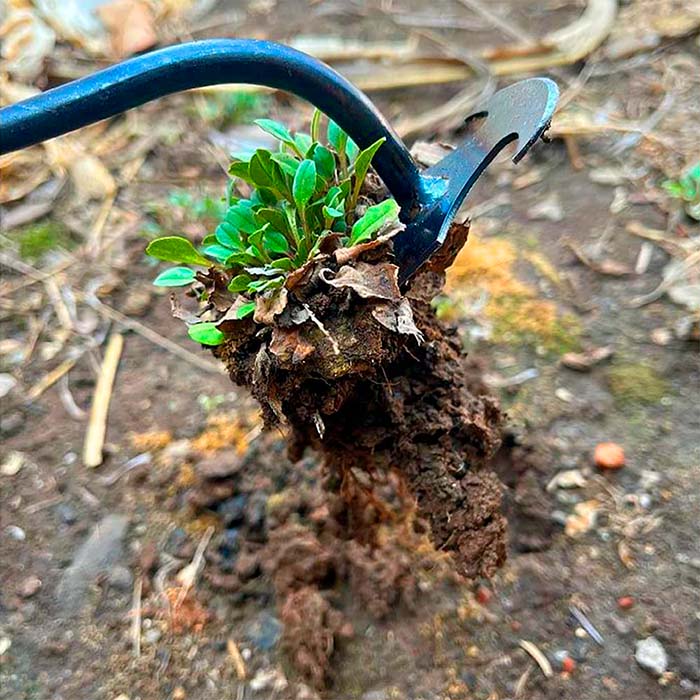DuoWeeder, lo sradicatore per giardino - Image 3