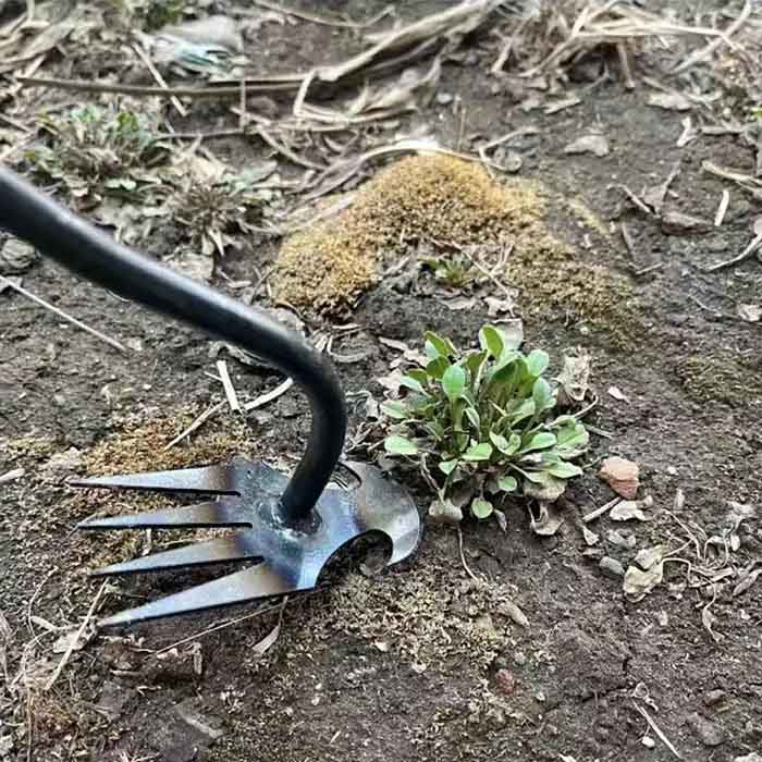 DuoWeeder, lo sradicatore per giardino - Image 6