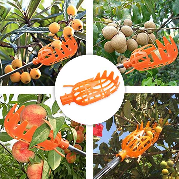 FruitBasket, Cesto per la Raccolta della Frutta - Image 5