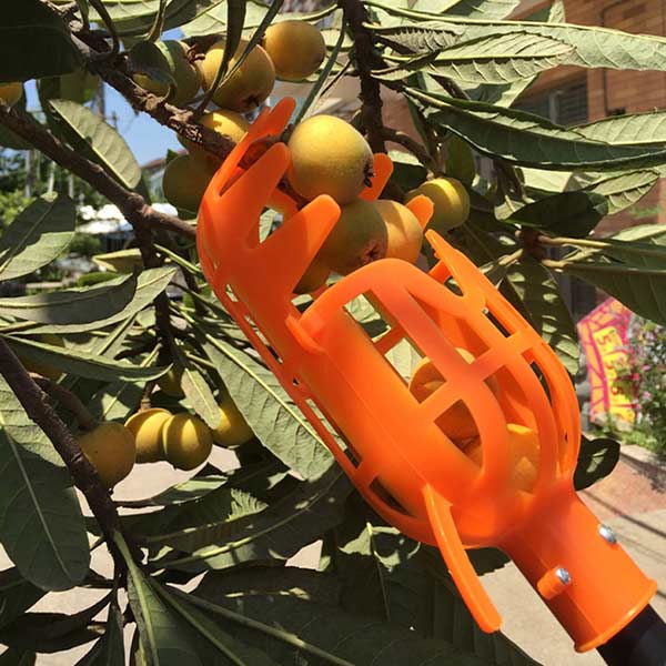 FruitBasket, Cesto per la Raccolta della Frutta - Image 6