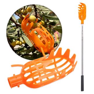 FruitBasket, Cesto per la Raccolta della Frutta - Image 8