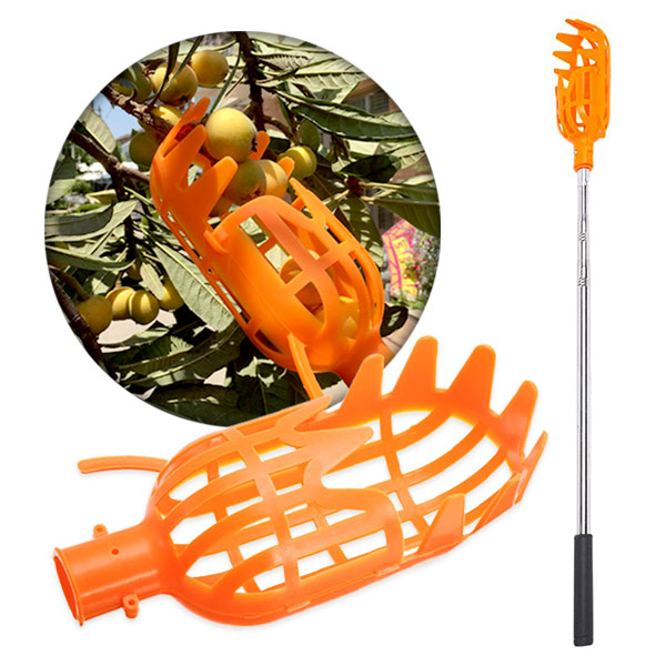 FruitBasket, Cesto per la Raccolta della Frutta - Image 9