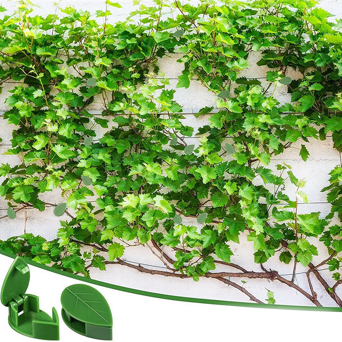 Ridisegna lo spazio con l'aiuto del verde!