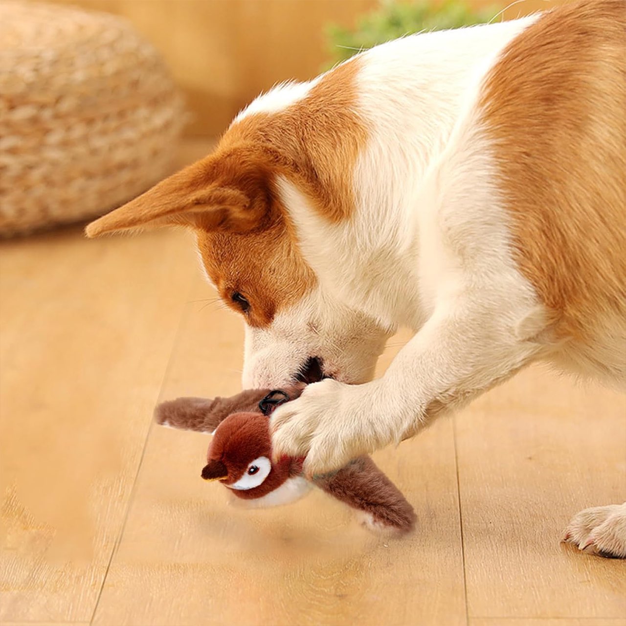 Flappy, il giocattolo interattivo per gatti - Image 3