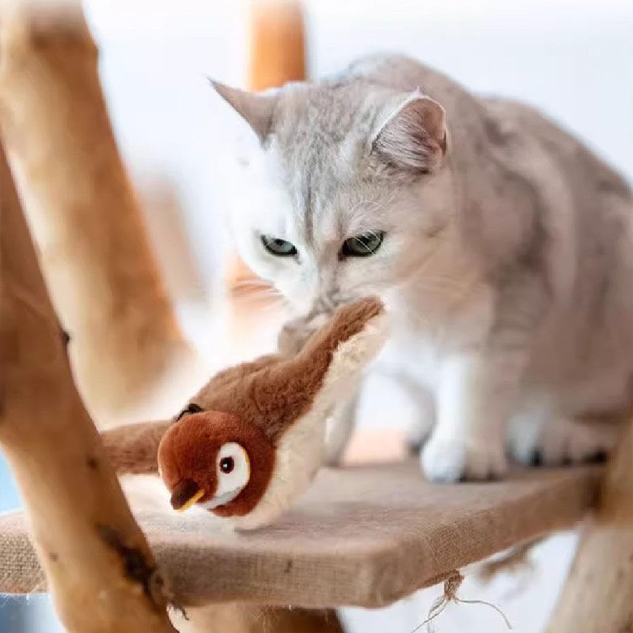 Il giocattolo si accende quando viene toccato e si muove come un vero uccello e si spegne quando il gatto non lo utilizza più.
