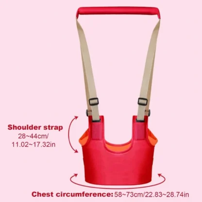 Porta bambini per l'apprendimento della camminata - Image 2