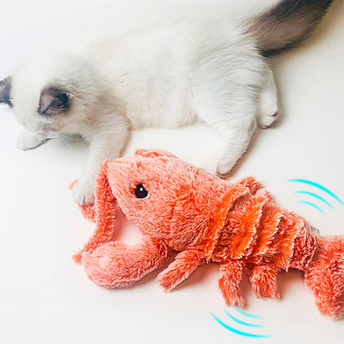 LobsterToy, un giocattolo interattivo per animali domestici a forma di aragosta - Image 9