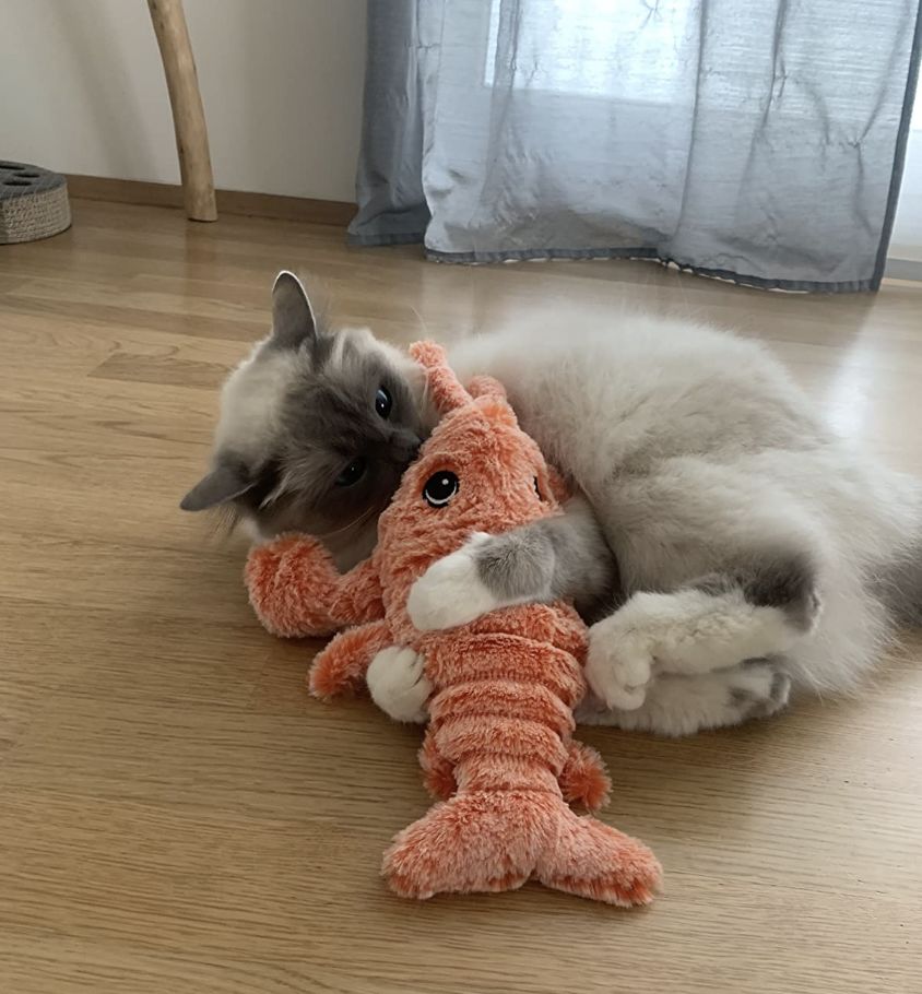LobsterToy, un giocattolo interattivo per animali domestici a forma di aragosta - Image 10