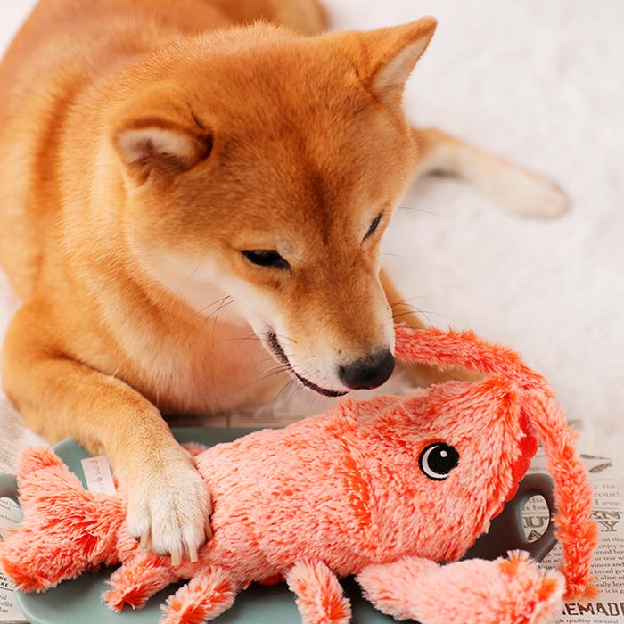 Un giocattolo interattivo per cani, gatti e altri animali domestici per alleviare lo stress e la tensione!