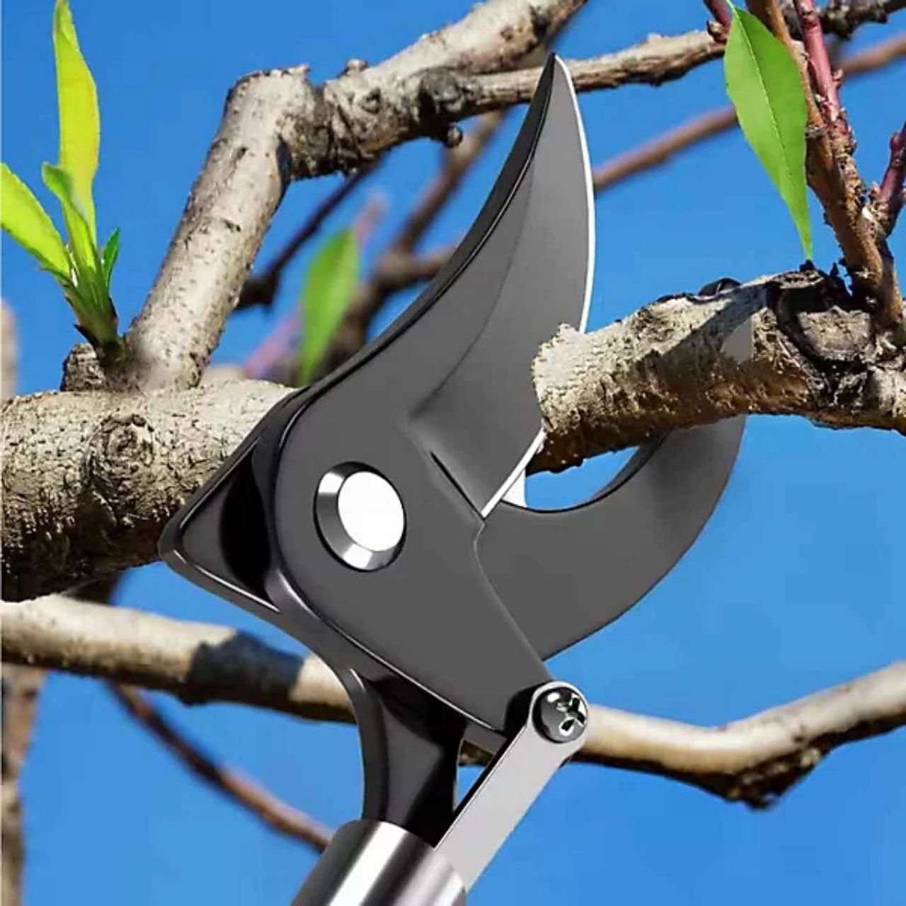 LongShears, troncarami - Image 2