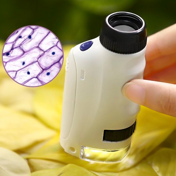 Incoraggia tuo figlio a trascorrere del tempo di qualità nella natura: con un microscopio, può esplorare la composizione di foglie, alberi, fiori e altre piante e oggetti realizzati con materiali diversi!