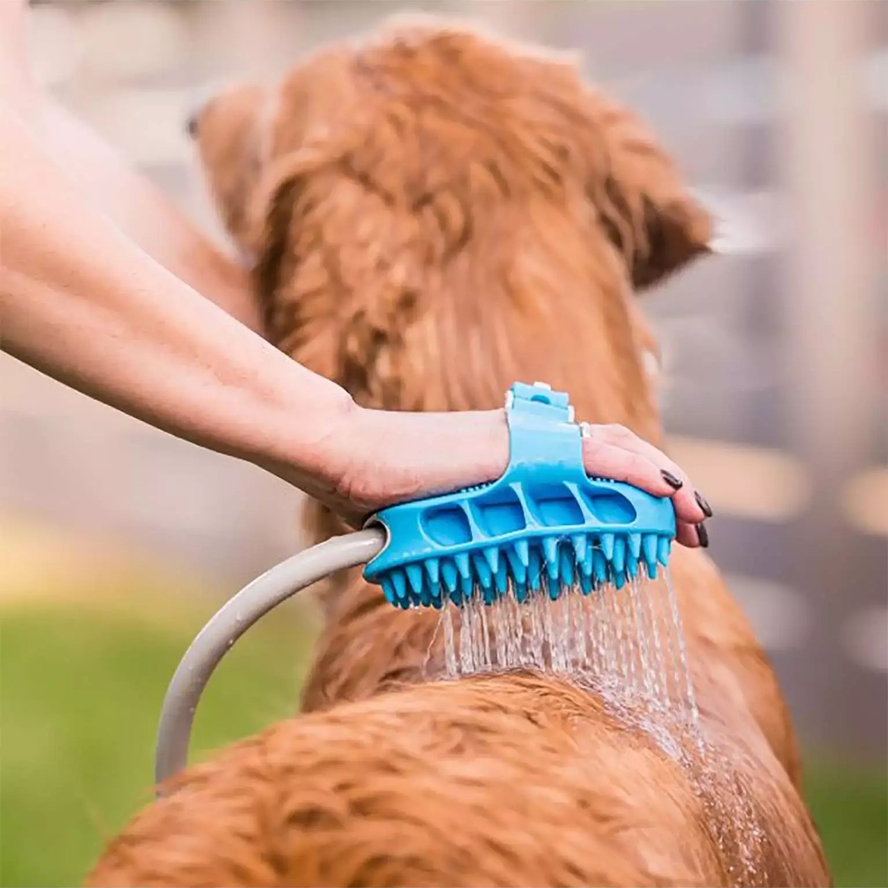 PawBath, spazzola massaggiante multiuso per il bagno degli animali domestici - Image 8