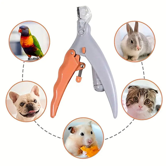 PawGloTrim, tagliaunghie con luce LED - Image 6