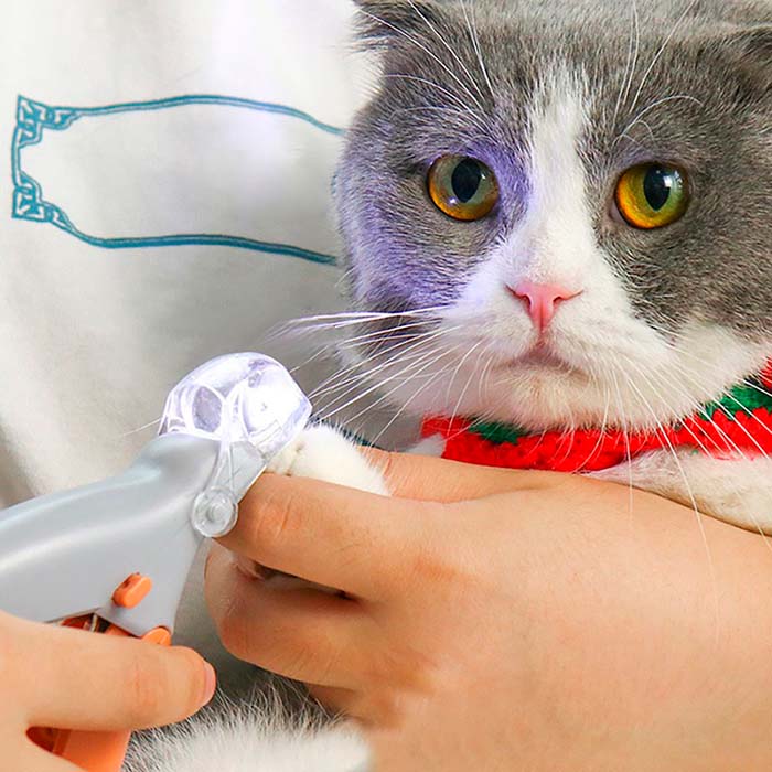 PawGloTrim, tagliaunghie con luce LED - Image 7