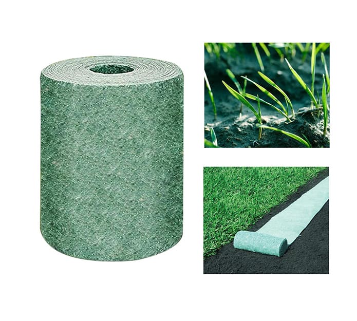 PlantPaper, la carta fertilizzante innovativa 3-in-1 - Image 8