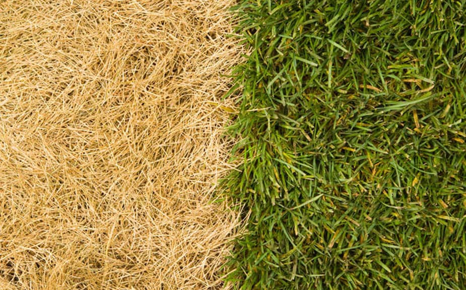 PlantPaper, la carta fertilizzante innovativa 3-in-1 - Image 9