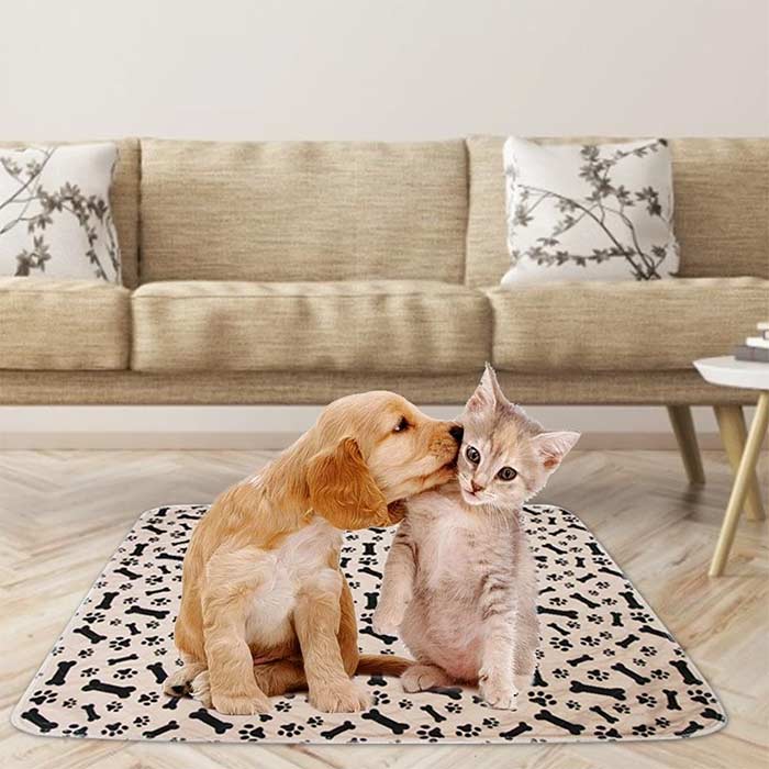 Un tappetino per cani di qualità che è composto da più strati diversi che permettono un ottimo assorbimento dell'acqua e allo stesso tempo non la lasciano passare!