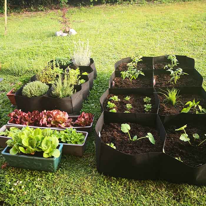 RaisedGarden, letto da giardino portatile con 8 scomparti separati - Image 4