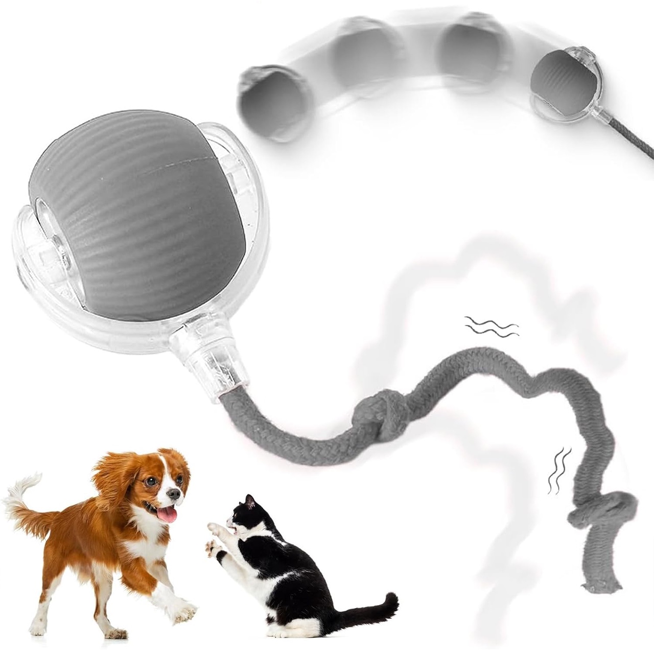RollBall, una palla da gioco con guinzaglio per animali domestici - Image 3